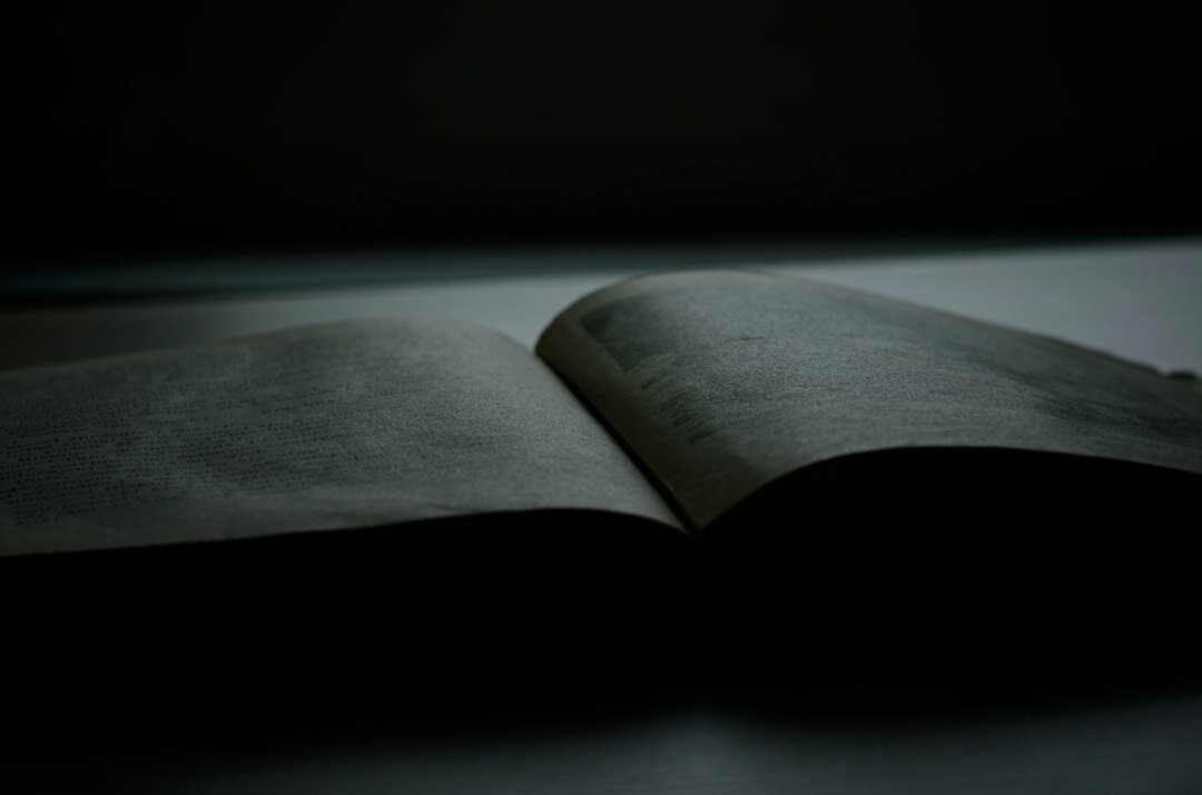mystery book with twist ending